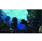 بازی کارکرده Call of Duty: Ghosts برای PS4 - Image 2