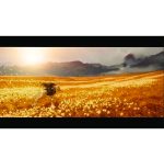 بازی Ghost of Yotei نسخه Complete Edition برای PS5 - تصویر 5