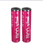 باتری قلمی شارژی TSCO Type-C AA مدل TBL 20 - بسته 2 عددی